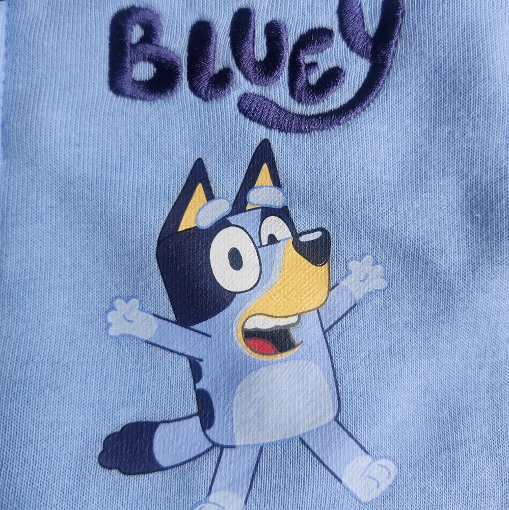 Bluey Character Light Weight Seeater